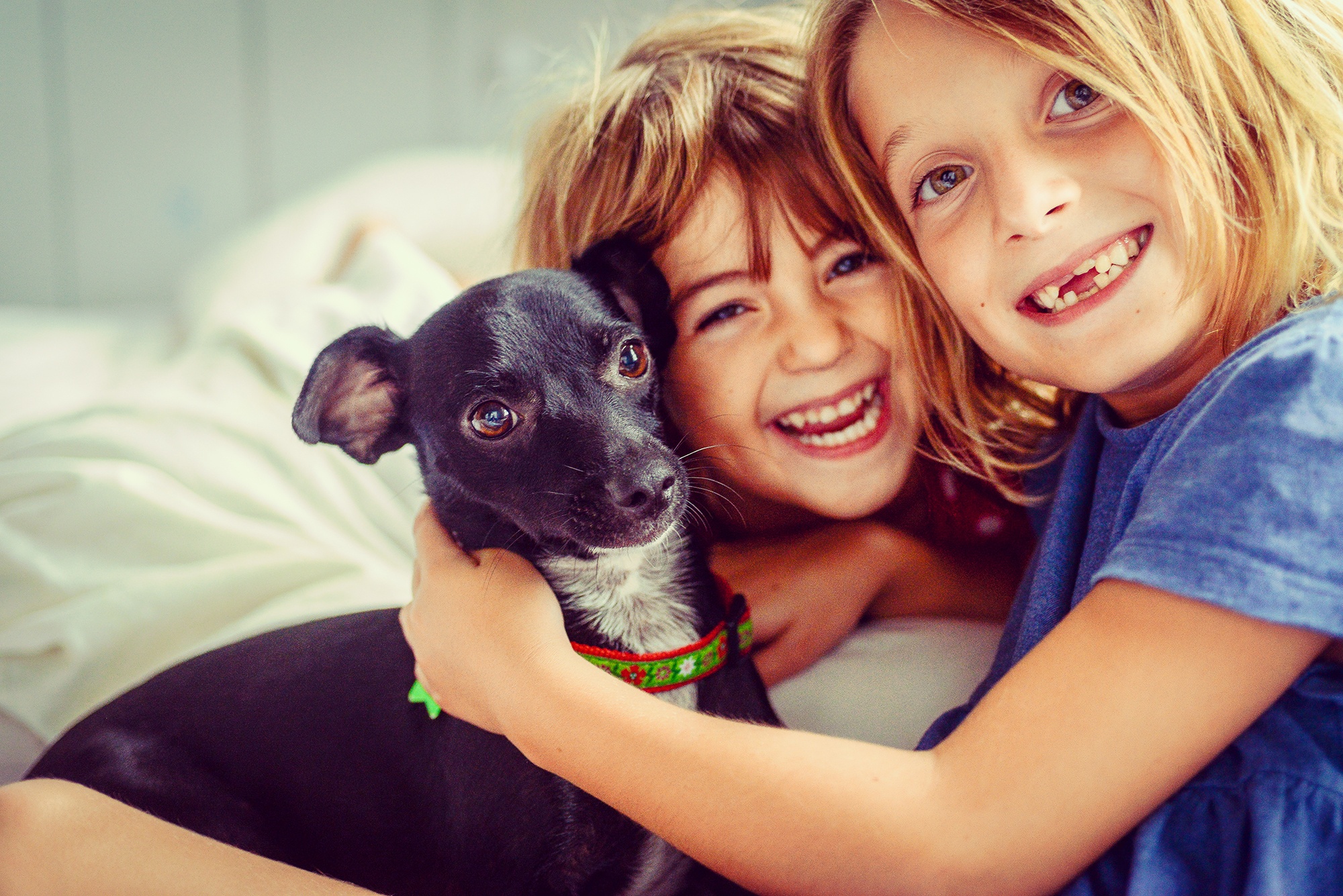 Kids and Pets Archives Volunteer Veterinary Hospital Volunteer