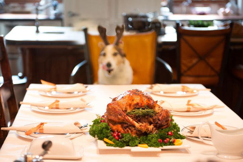 dog licking lips at dinner table 