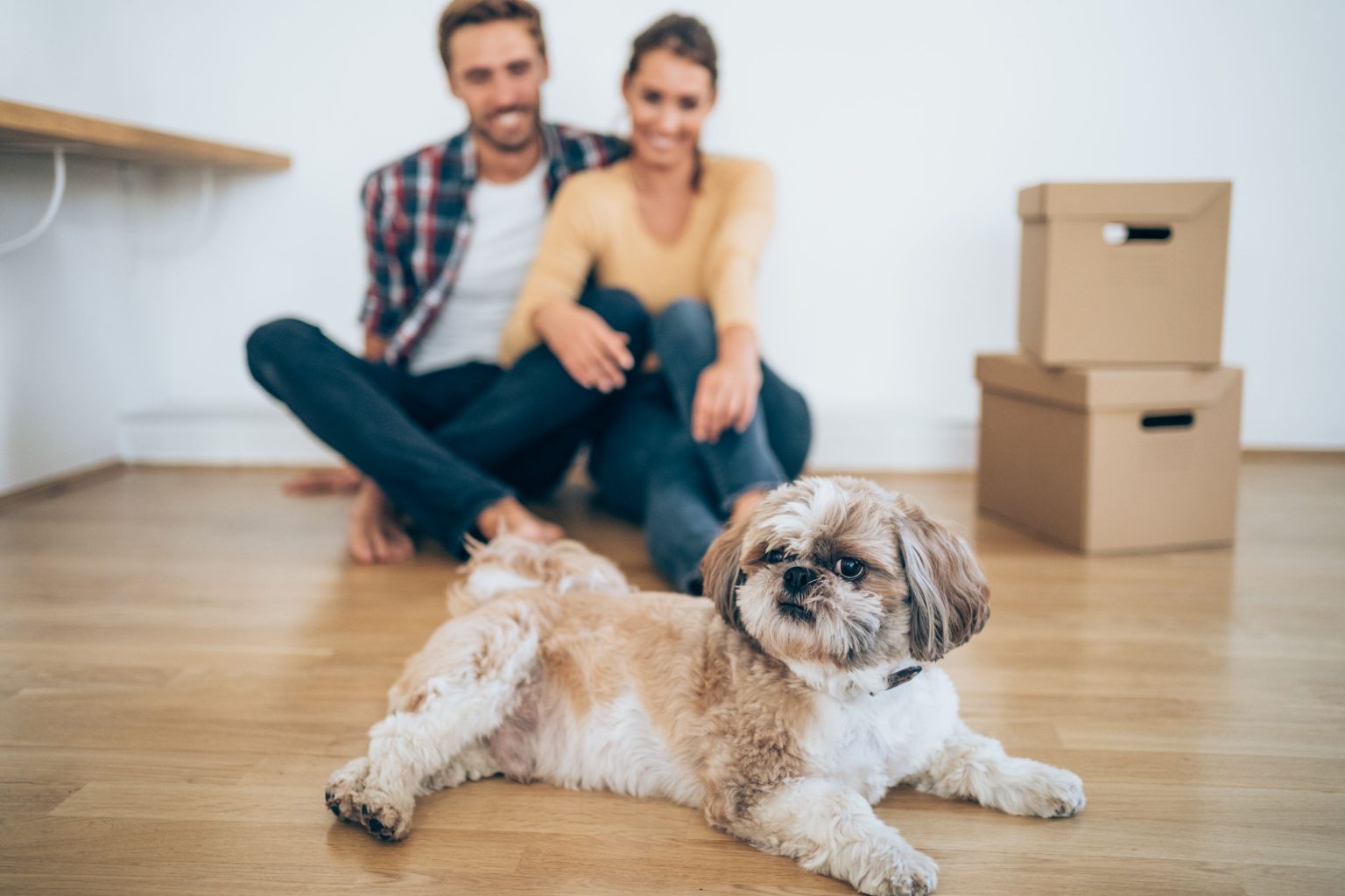 Tips for First Time Pet Owners Volunteer Veterinary Hospital