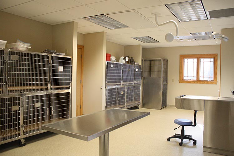 Treatment Area
