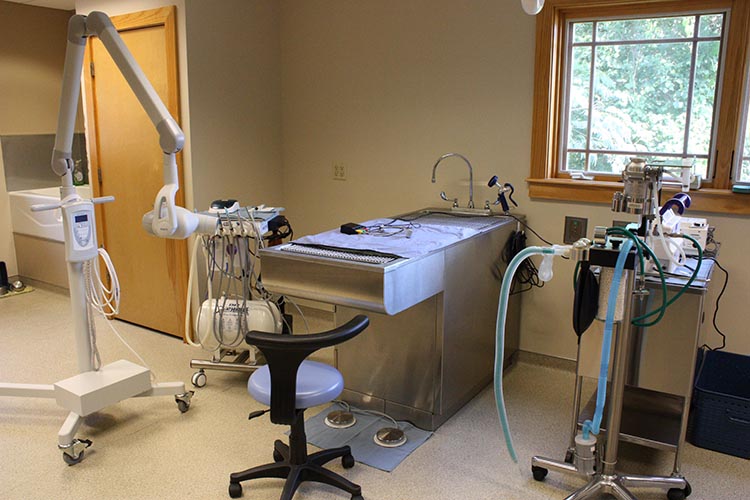 Dental Suite