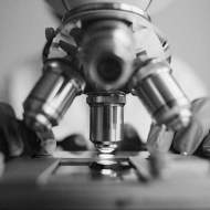 performing a laboratory diagnosis with a microscope