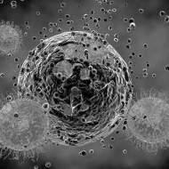 Virus cell attacking and destroying human cell abstract 3d illustration